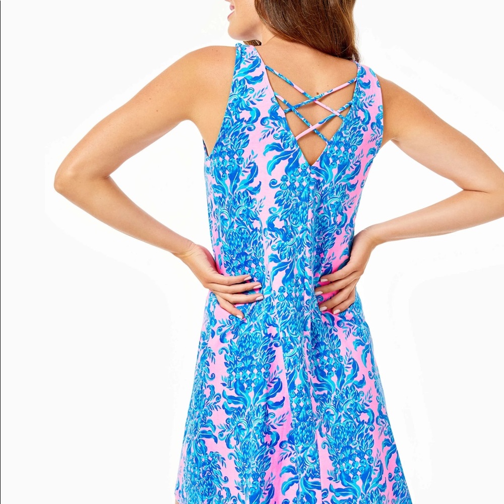Lilly Pulitzer Kristen Swing Dress | XXL